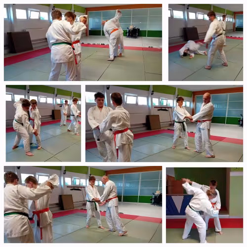 Collage mit Szenen aus einem Aikido-Training in der Sporthalle. Kinder und Jugendliche trainieren gemeinsam mit einem Trainer Wurftechniken, Griff&uuml;bungen und sicheres Abrollen auf der Matte.