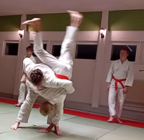 Ein Jugendlicher f&uuml;hrt w&auml;hrend eines Aikido-Trainings einen Wurf aus. Sein Trainingspartner befindet sich kopf&uuml;ber in der Luft, w&auml;hrend zwei weitere Jugendliche die Technik auf der Matte beobachten.