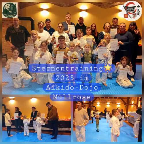 Fotocollage vom Sternentraining 2025 im Aikido-Dojo M&uuml;llrose. Zu sehen sind ein Gruppenfoto der Teilnehmenden mit Urkunden und Pokalen sowie Eindr&uuml;cke von der Urkundenverleihung und dem gemeinsamen Training.