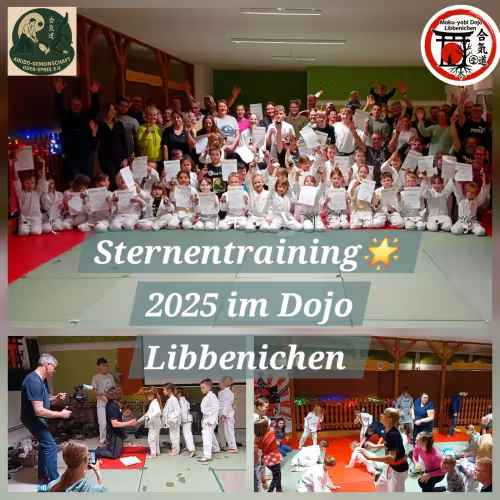 Collage mit Eindr&uuml;cken vom Sternentraining im Aikido-Dojo Libbenichen: Gruppenfoto mit Urkunden, Ehrung der Teilnehmenden und gemeinsames Spielen auf der Matte.