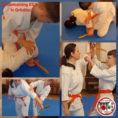 Collage aus dem Aikido-Training in Gr&ouml;ditsch. Jugendliche &uuml;ben mit dem Tantō (Trainingsmesser aus Holz) verschiedene Abwehr-, Hebel- und Entwaffnungstechniken in Partner&uuml;bungen.