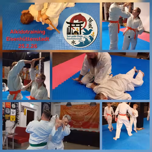 Fotocollage aus dem Aikidotraining in Eisenh&uuml;ttenstadt. Kinder und Erwachsene &uuml;ben gemeinsam Hebel-, Wurf- und Stocktechniken auf blauen Matten unter Anleitung erfahrener Trainer.