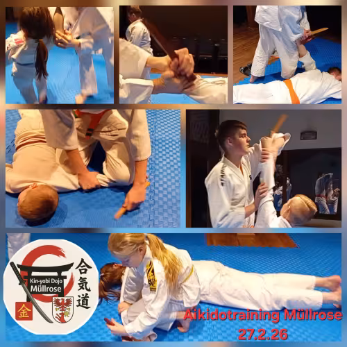 Fotocollage aus dem Aikidotraining in M&uuml;llrose. Kinder und Jugendliche &uuml;ben gemeinsam Hebel-, Bodentechniken und das Training mit dem Tanto auf blauen Matten.