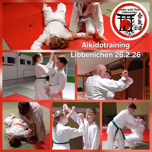 Collage mit Eindr&uuml;cken aus dem Aikidotraining im Dojo Libbenichen: Kinder, Jugendliche und Erwachsene &uuml;ben gemeinsam Hebel-, Wurf- und Haltetechniken in Partner&uuml;bungen auf der Matte.
