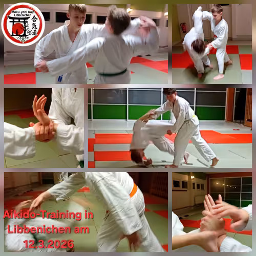 Collage vom Aikido-Training am 12. M&auml;rz 2026 im Dojo Libbenichen mit Jugendlichen bei Partner&uuml;bungen, Wurftechniken, Hebeln und Fallschule.
